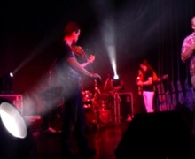 Faretto bianco, Violinator e Marconegro